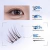 10 Rows High-Capacity Korean Style Adhesive-Free Black-Brown Freesia False Eyelashes - Beginner Friendly