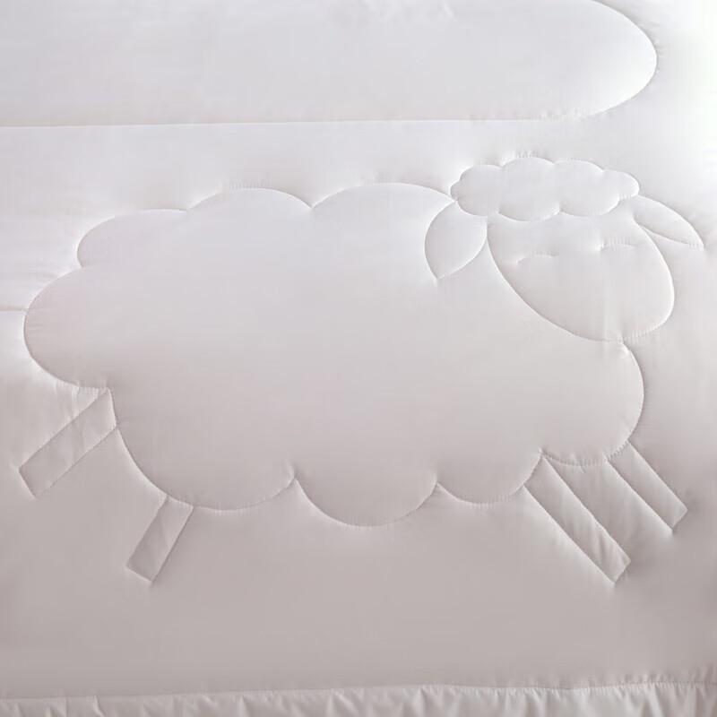 Yalu Double Protein Cashmere Soybean Warm Quilt