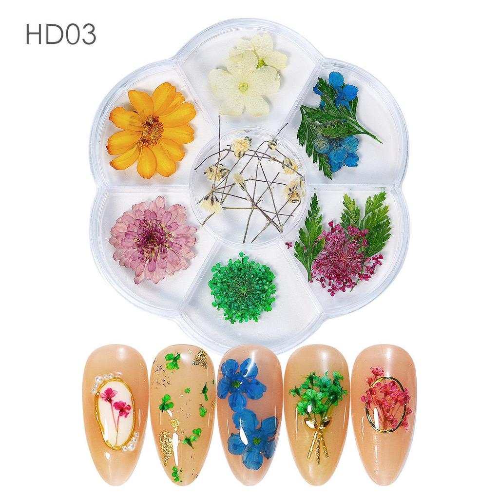 Mix Dried Flowers Nail Decorations Jewelry Natural Floral Leaf Stickers 3D Nail Art Designs Polish