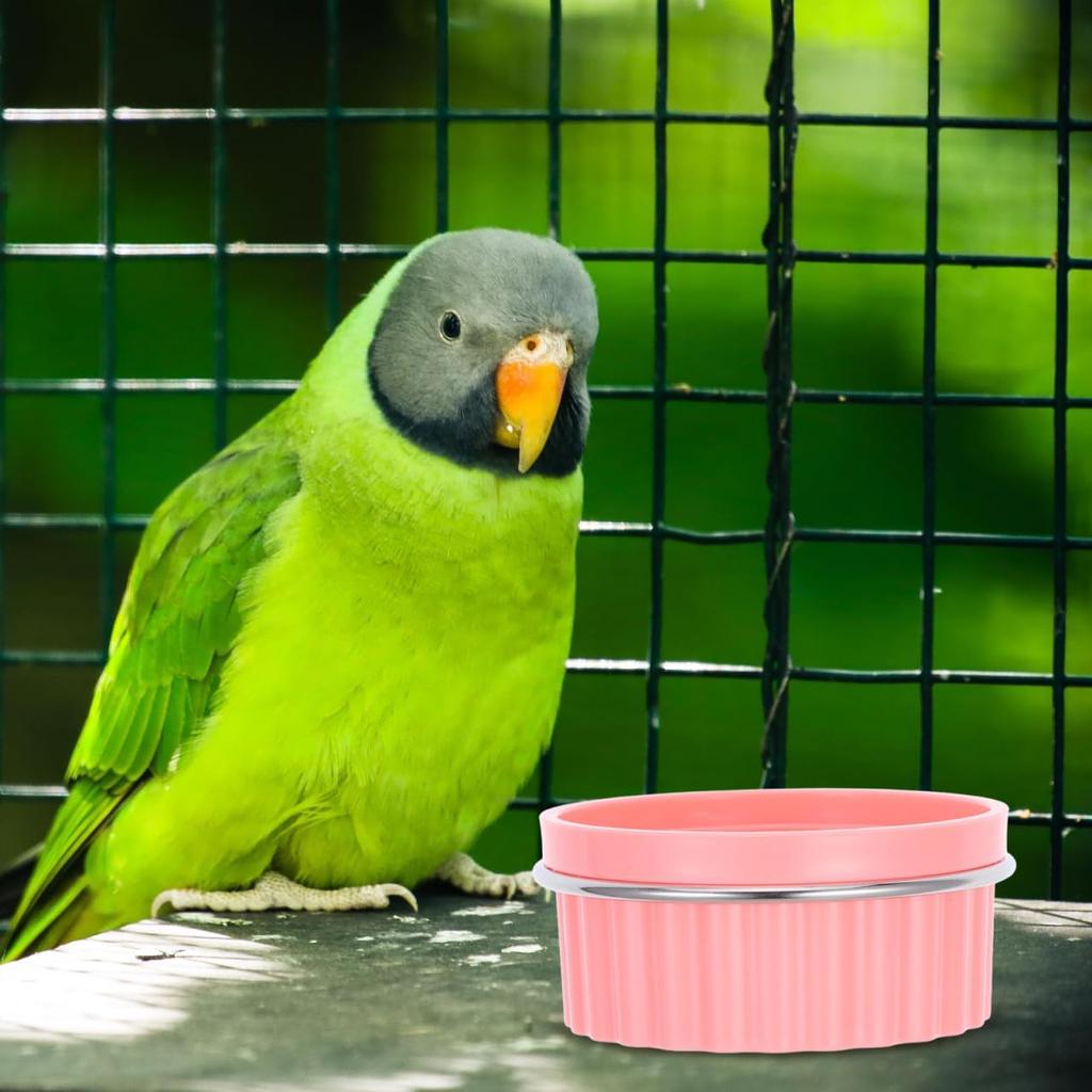 BESPORTBLE Bird Feeder Bowl Set Stainless Steel for Parrots Cats Dogs Small Pet Feeding Slip Pink