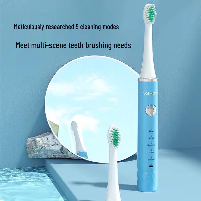 Yangzi DFC-001 Sonic Electric Toothbrush