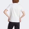 Adidas Originals Adicolor Classics Trefoil Logo Print Short Sleeve T-Shirt Women Tops White IK4036