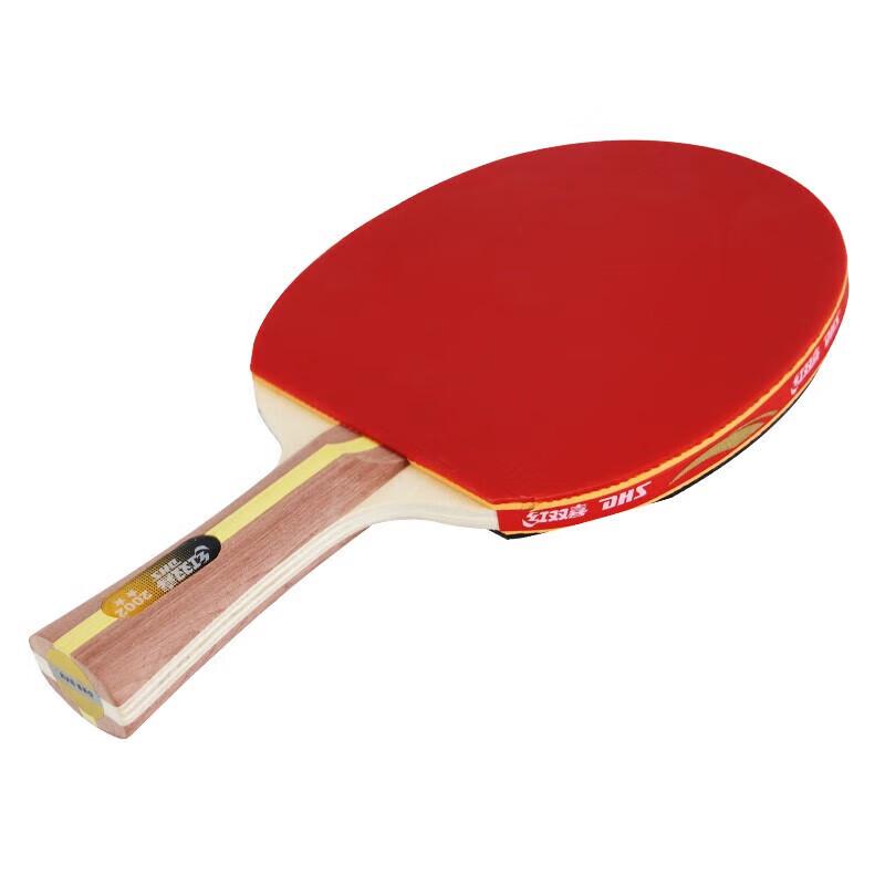 DHS 2-Star Table Tennis Racket