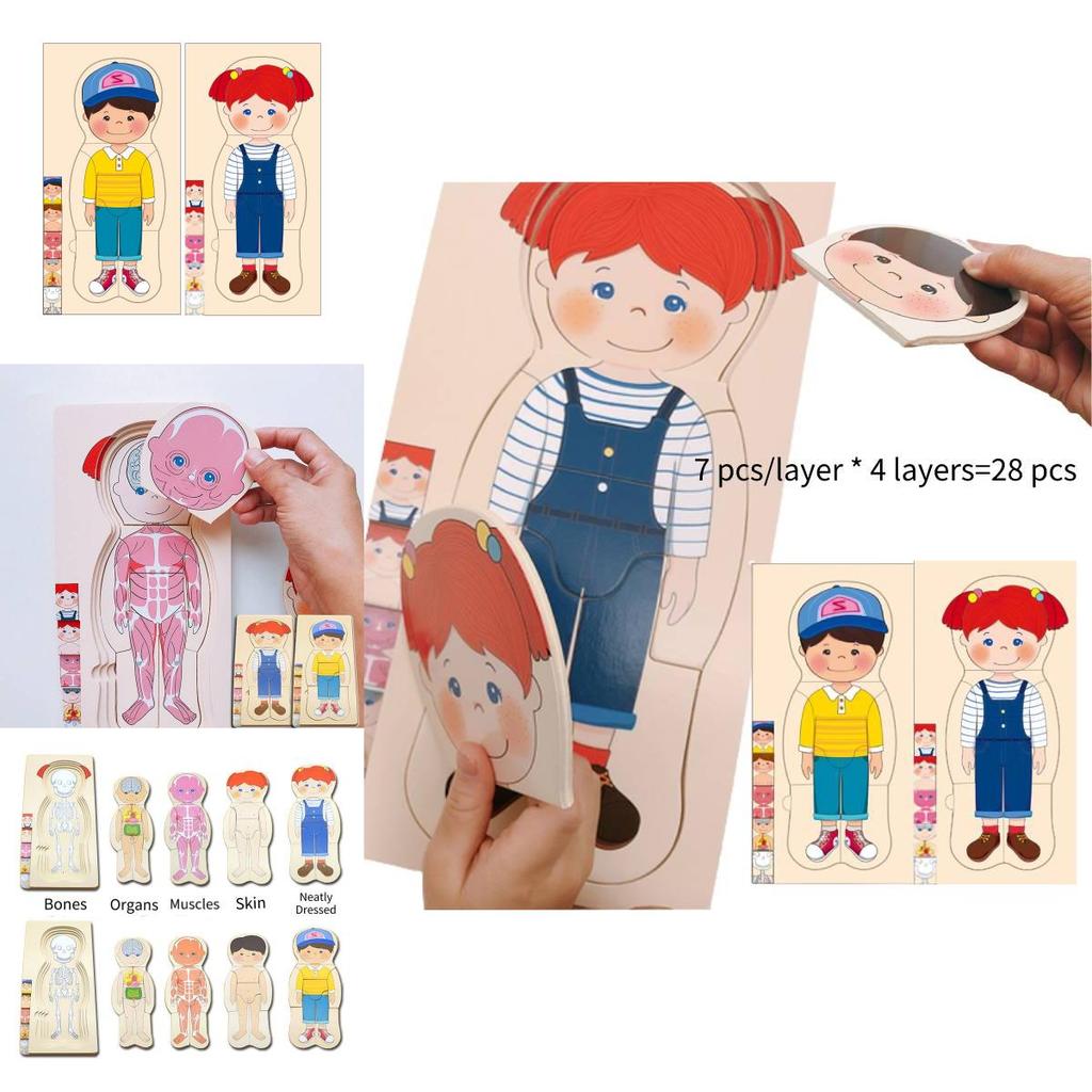 Holz-Puzzle-Spielzeug zur menschlichen Körperstruktur für Jungen und Mädchen