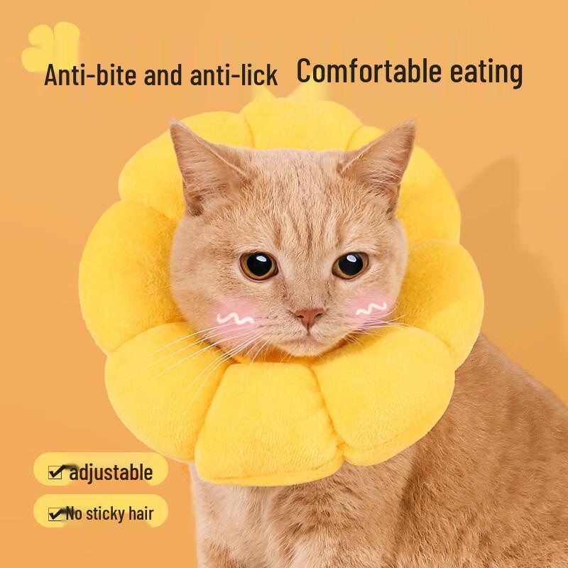 Pet Elizabeth Recovery Collar