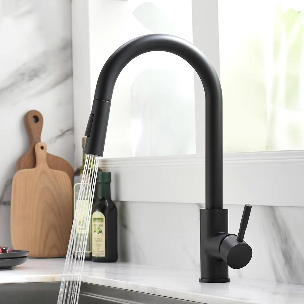 Modern Kitchen Faucet, 360° Rotating + Dual Spray Modes, 304 Stainless Steel, Brushed Finish, Black/silver Accessories.