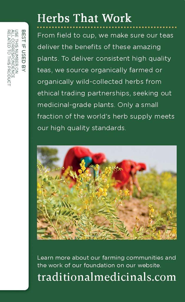 Alisan Organic Dandelion Tea 24g x16 bags Organic Herbal Tea JAS Certified Caffeine Free (Organic Product)