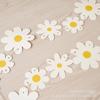 Inspired Daisy Banner Bunting for Children's Birthday Party Décor