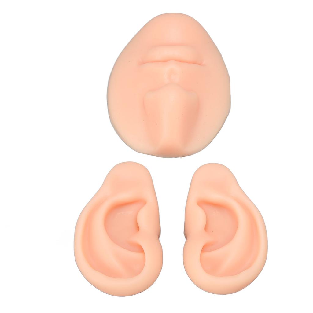 Silikon Ohrmodell Anfänger Simuliertes 3D Nasen- und Mundmodell Ausstellungsstück Lehrwerkzeug für Piercing-Übungen