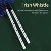 Rich Tone Irish Whistle Flute 6 Holes Irish Tin Whistle Musical Instruments  for Beginners