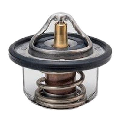 Tama 3951 W52DAA-84 Thermostat mit Dichtung