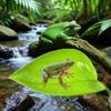 Gecko Frog Leaf Rest Platform with Suction Cup, Reptile Basking Habitat Simulation Leaf Tank Accessories