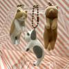 Flocking Cat Who Was Picked Up 3 The Cat That Was Killed By Pinching Dead End of The GashaponFigure Toys