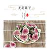 Dried Fig Slices Natural No Additives Healthy Snack 500g 17.6oz