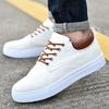 2025 New Canvas Sneakers: Trendy Korean-Style Men's Casual Shoes in Extra-Large Sizes