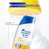 Head & Shoulders Refreshing Oil Control Anti-Dandruff Shampoo