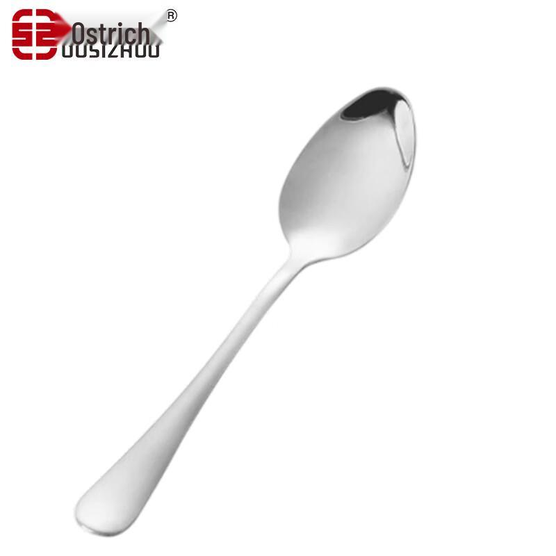 OASIS 304 Stainless Steel Dinner Spoon