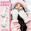 Ski Gloves Women's Windproof Fleece Thickened Waterproof and Non-slip Riding Electric Vehicle Thermal Gloves