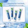Yunnan Baiyao Classic Mint Toothpaste