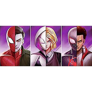 Animazione 3D poster tridimensionale gradiente raster pittura poster di Spider-Man Iron Man raster nudo