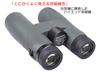 Sightron Japan Binoculars SV 10X42ED 10x Diameter 42mm Large Diameter Outdoor Field Observation Completely Waterproof SIB40-1013