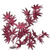 Maple Artificial Leaves Flower Wedding And Event Decor For Photography Home Use