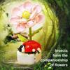 Butterfly Insect Potted Plant Bonsai Flower Block Rose Decoration DIY Mini Building Block Figure Plastic Toy Gift Kids Girls