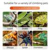 Elevated Reptiles Bedding ABS Climbing Perch With Powerful Suction Cups Lizards Lounger Hammock For Vivarium Decoration