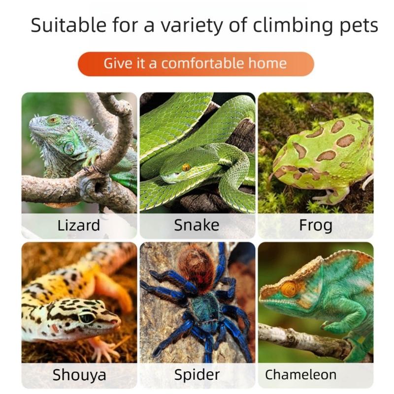 Elevated Reptiles Bedding ABS Climbing Perch With Powerful Suction Cups Lizards Lounger Hammock For Vivarium Decoration