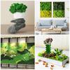 Preserved Moss Decor Lightweight Eternal Green Moss Craft Art Prop Aesthetic Artificial Fake Moss Wall Decoration for Home Party