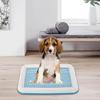 Dog Potty Toilet Training Tray Easy To Clean Removable Dog Potty Tray Mesh Training Tray Dog Litter Box for Small Size Dogs