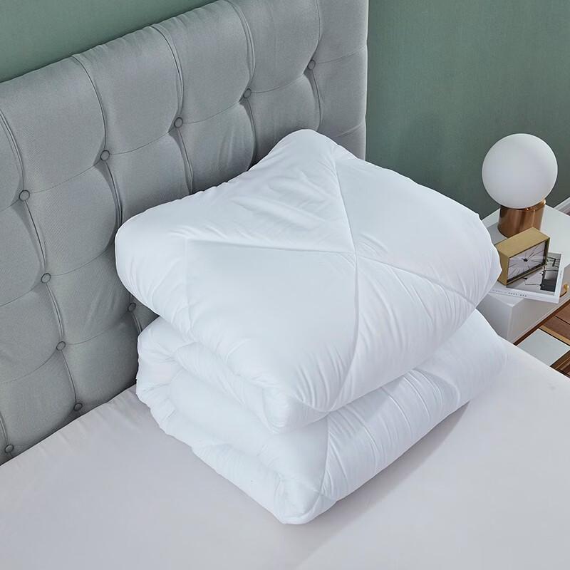 Mengjie Soft Core Four-Season Quilt