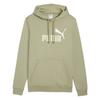Puma ESS 2 Color No 1 Logo Hoodie