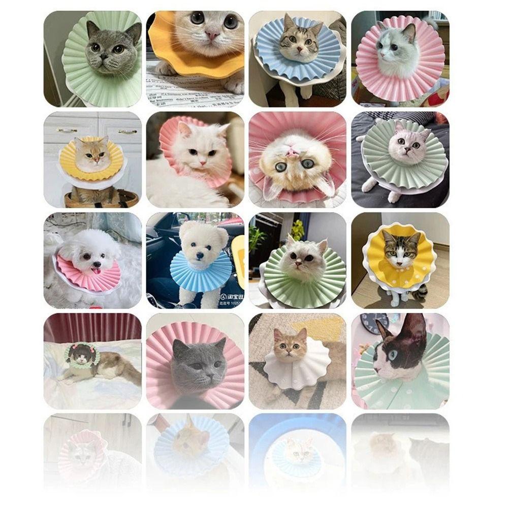 Double Layer Cat Elizabeth Collars with Buckle Protective EVA Neck Protective Circle Comfortable Easy to Wear Dog Neck Cone
