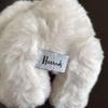 [USED] Harrods Teddy Bear Plush Toy