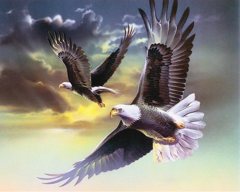 Diamond Painting Owl Cross Stitch Diamond Embroidery Animal Full Drill Square Mosaic Bird Needlework Home Decor