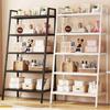 Ladder Storage Shelf