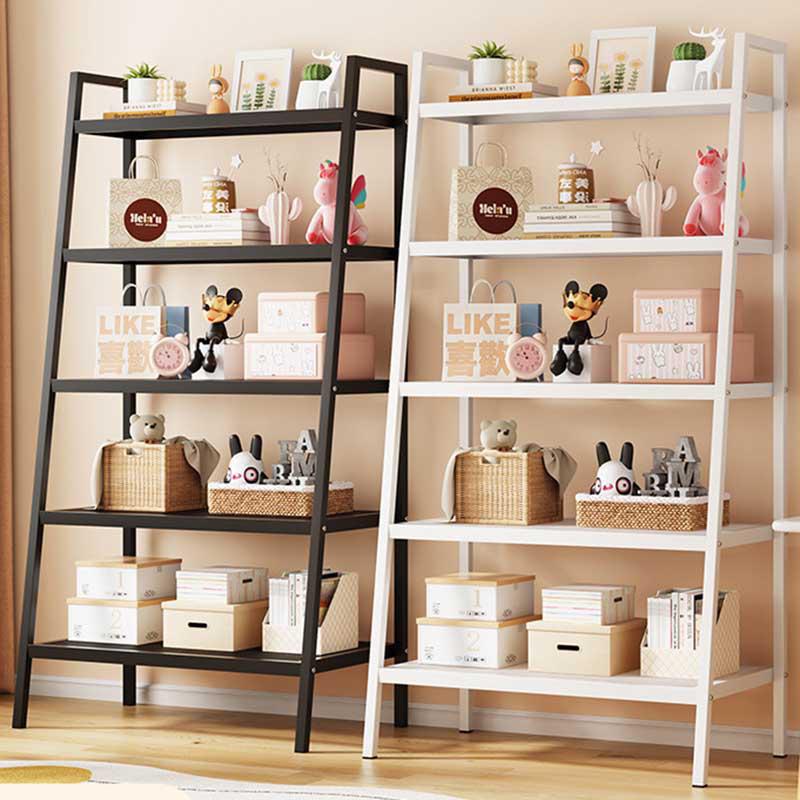 Ladder Storage Shelf