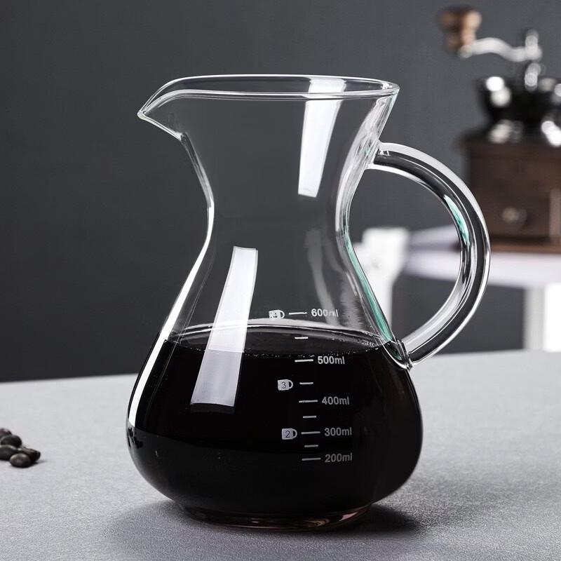 TLXT Glass Hand-Pour Coffee Pot with Filter