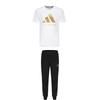 Taekwondo Round Neck Pullover Simple Short Sleeve T-Shirt Striped Drawstring Long Pants Casual Sports Suit ADICLTS24TKP-WG+TR30P1T-BG