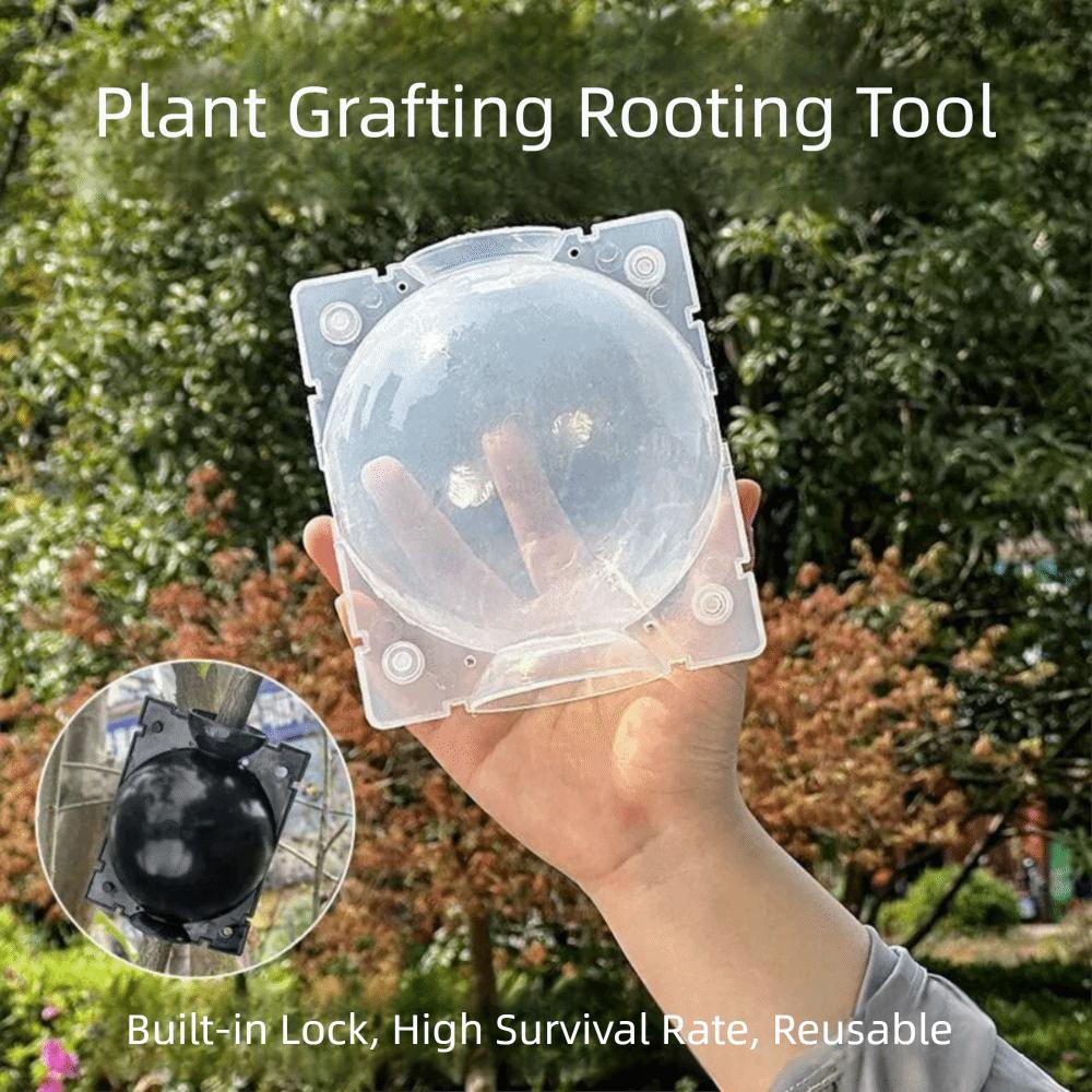 Propagation Ball High Pressure Incubator Breeding Case Grafted Tree Rooting Ball  Garden Supplies