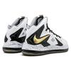 Nike LeBron X Elite+ White Gold 579834-100