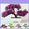 Magnifique Bonsaï Simulation Pin Artificiel Plante en Pot Pour Décoration Maison et Bureau