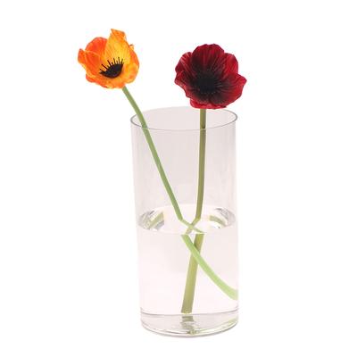 Vasi Cilindrici Acrilici per Piante Idroponiche, Bottiglie Decorative Trasparenti per Fiori Freschi, Centrotavola per Matrimoni e Tavoli da Pranzo