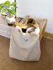 Versatile Christmas Red Faux Lamb Wool Women's Shoulder Bags Simple Solid Color Ladies Handbag Large Capacity Female Tote Bag