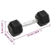 VidaXL Haltères 2 pcs 8 kg Total Fonte, ensemble d'haltères, haltère hexagonal, plaque de poids, barre de poids, poids libre 93600