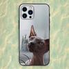 Animal Sphynx Cat Phone Case For iPhone 16,15,14,13,12,11 Plus,Pro Max,XS,X,XR,SE,Mini,8,7,Soft Silicone Black Cover