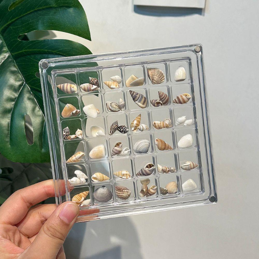 Acrylic Seashell Storage Box Multifunctional Beads Collection Box Jewelry