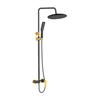 Shower Column with Faucet Alanis Black Gold
