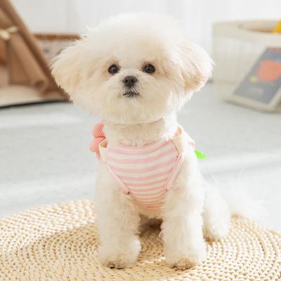 Kleding en schoenen – Vesten en shirts voor honden